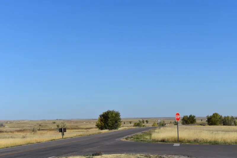 Beyond the Coasts: Five Heartland Painters Redefining the American Landscape